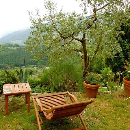 Guesthouse Runcini Ferentillo Exteriér fotografie
