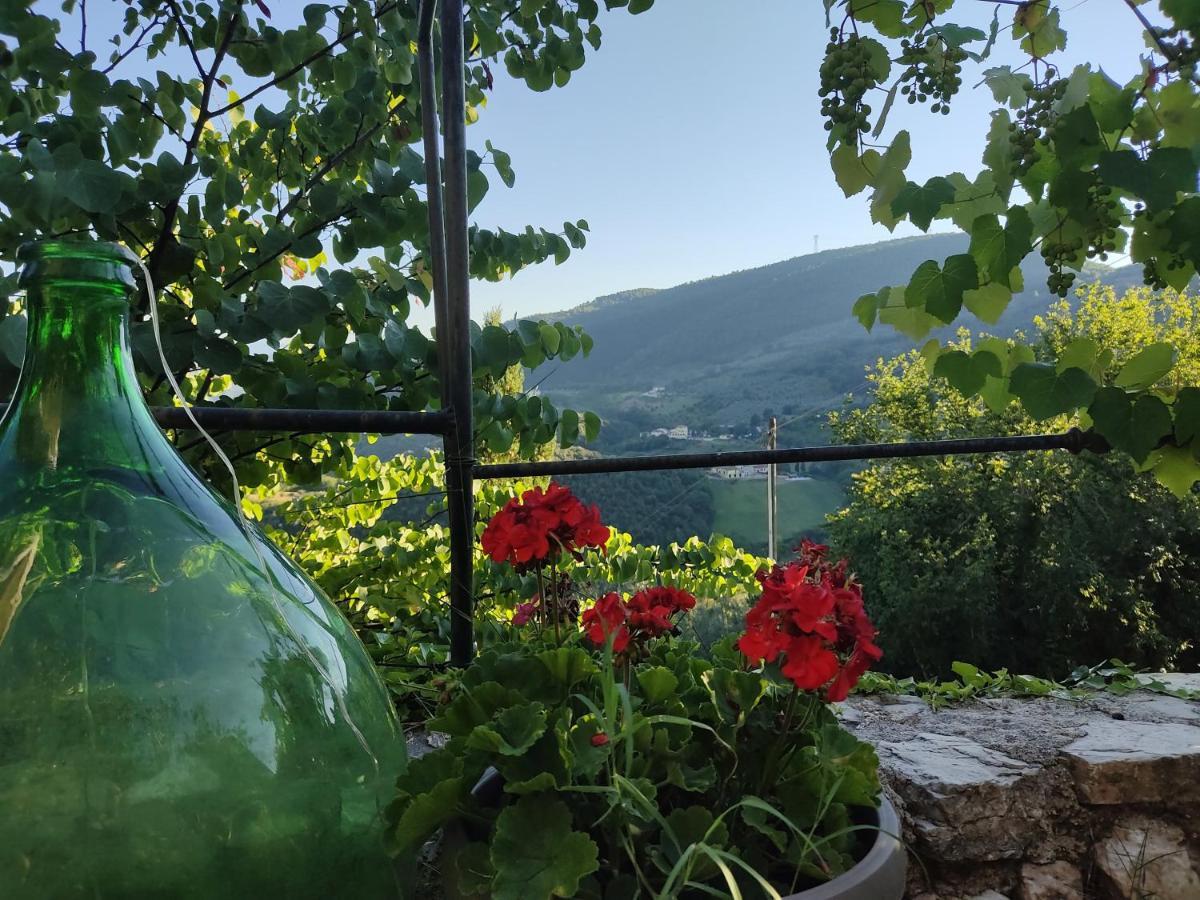 Guesthouse Runcini Ferentillo Exteriér fotografie