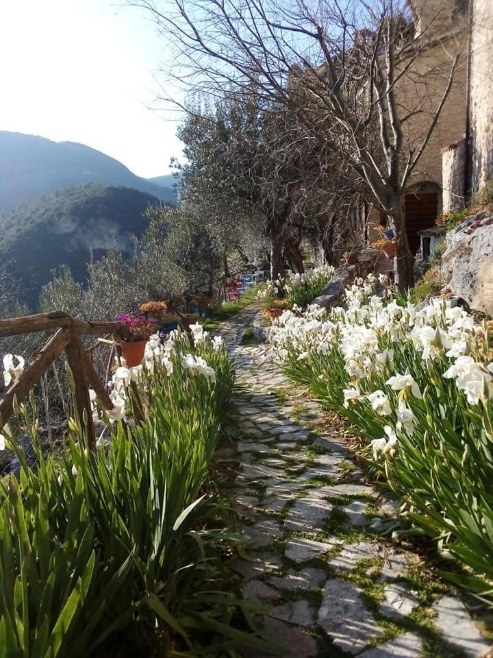 Guesthouse Runcini Ferentillo Exteriér fotografie